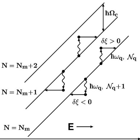 plal ll electron statement.
